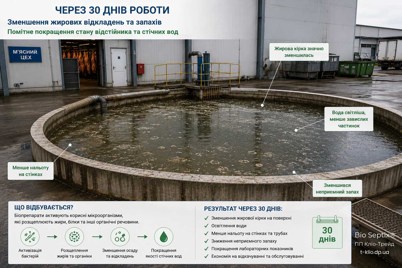 Стан відстійника підприємства харчової промисловості через 30 днів після застосування біопрепаратів Bio Septix