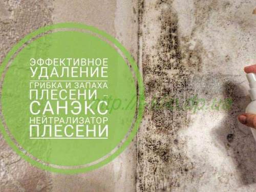 Розпилюємо Septix Нейтрализатор Цвілі для видалення плісняви на стінах